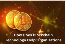 How Does Blockchain Technology Help Organizations